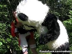 Süßes Babe und ein Panda-Bär machen Liebe unter freiem Himmel